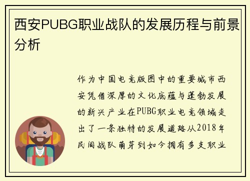 西安PUBG职业战队的发展历程与前景分析
