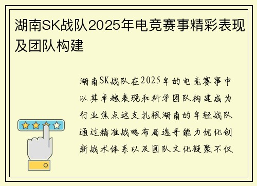 湖南SK战队2025年电竞赛事精彩表现及团队构建
